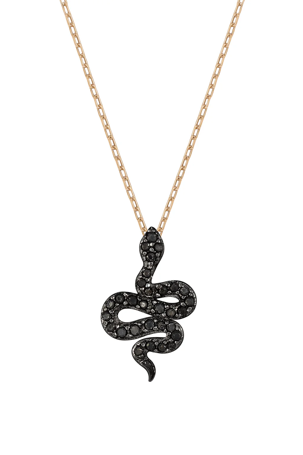 Black Snake Necklace
