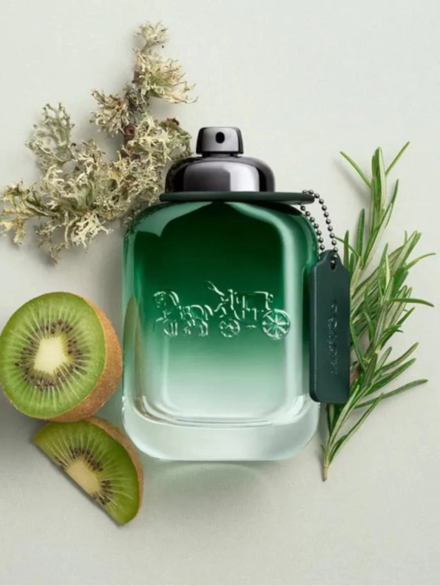 Coach New York Green Eau de Toilette 100 ml