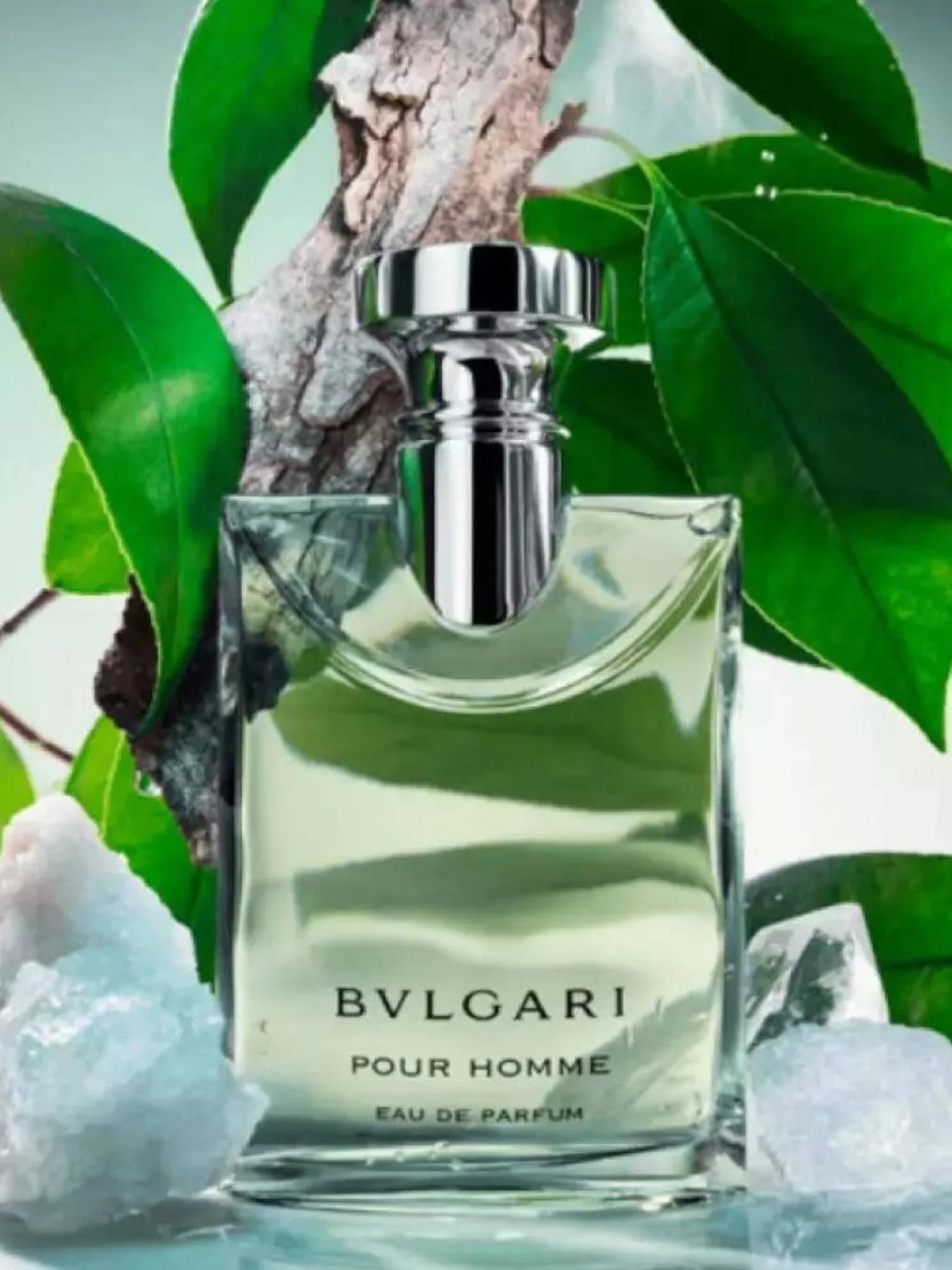 Pour Homme - Image 2