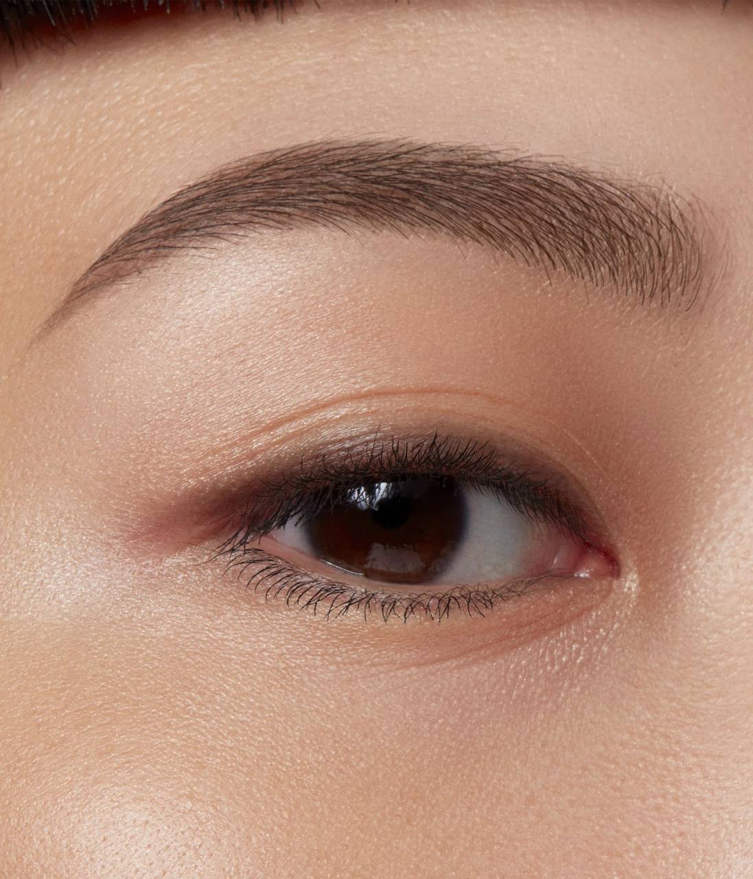 Regard Le Sérum Noir Ecrin Chocolat - Image 3